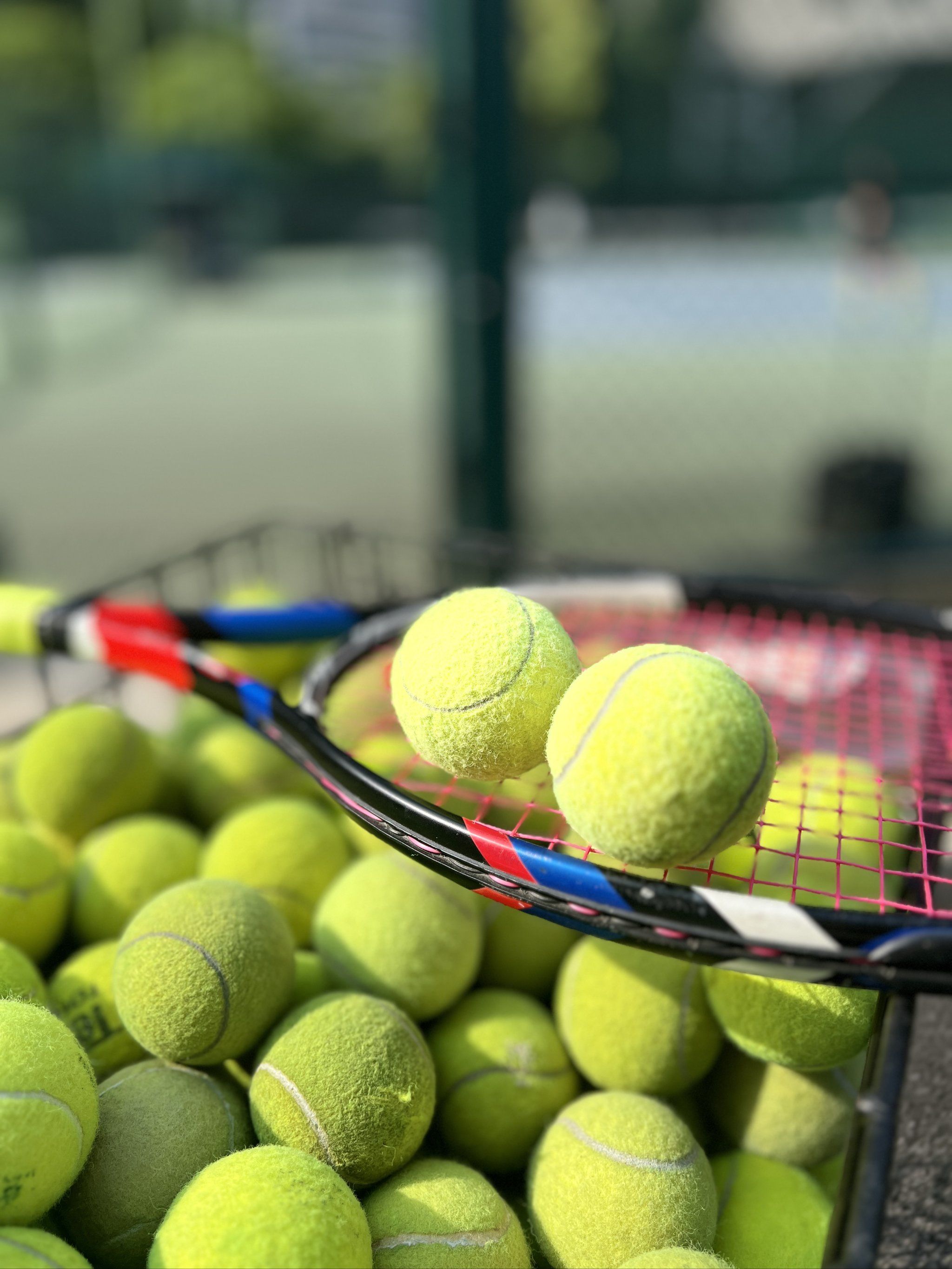 杨瀚森的适 杨瀚森的适