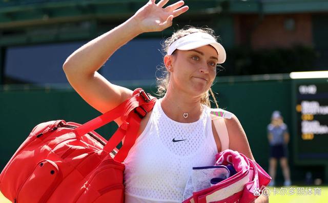 东道主美国 东道主美国